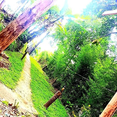 Ella Foret Accommodation المظهر الخارجي الصورة