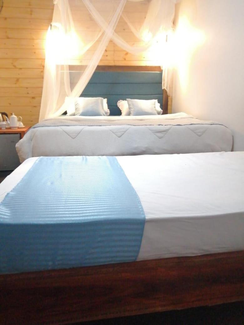 Ella Foret Accommodation المظهر الخارجي الصورة