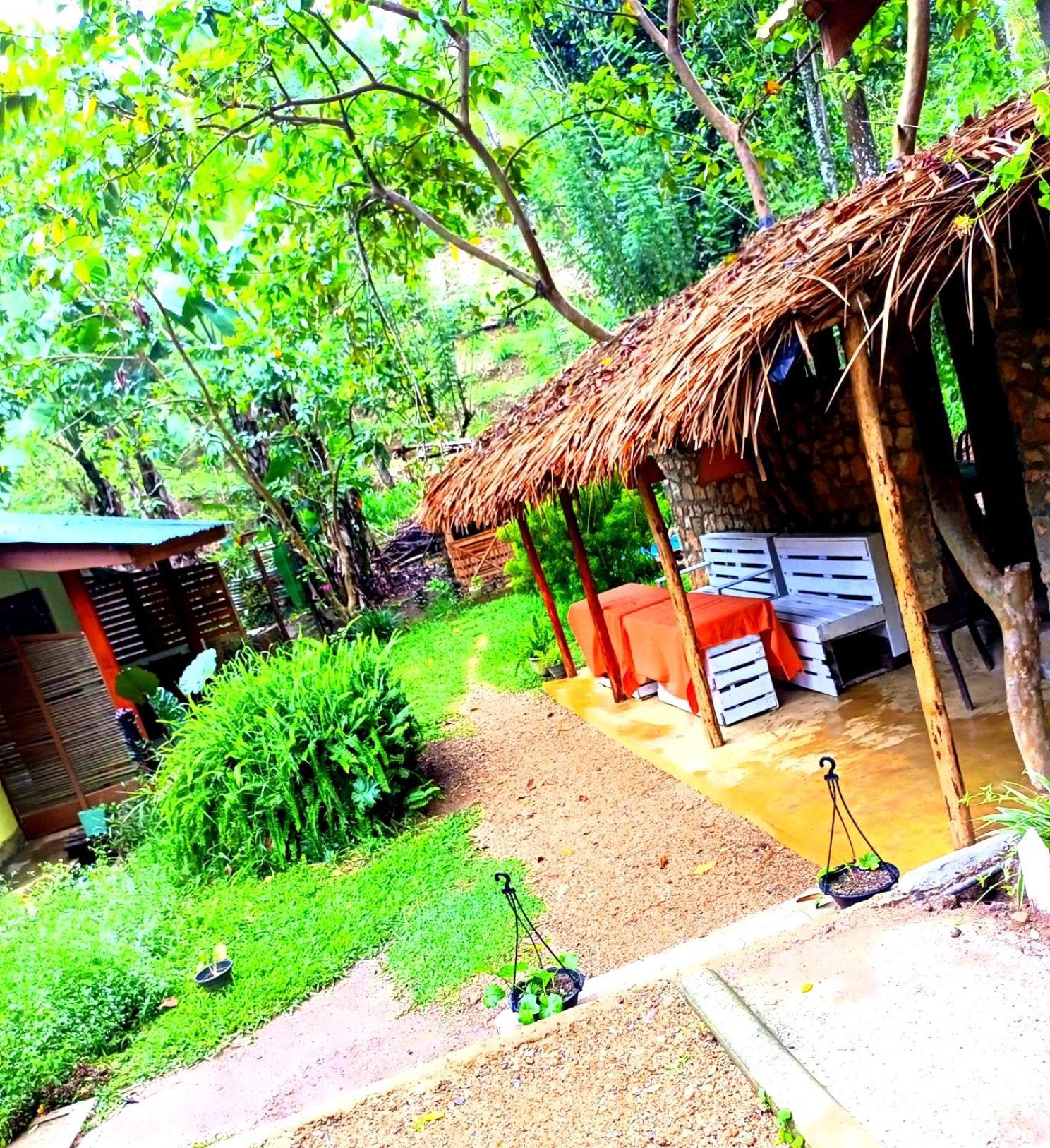 Ella Foret Accommodation المظهر الخارجي الصورة